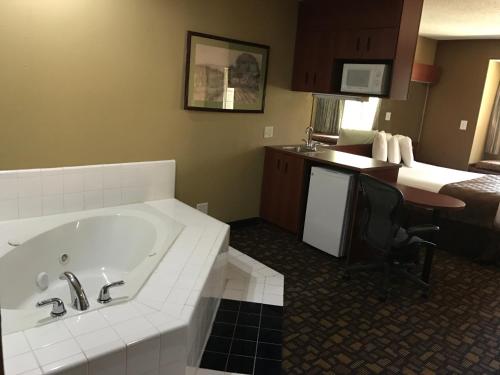 Gallery image of Microtel Inn & Suites by Wyndham Lithonia/Stone Mountain in Lithonia