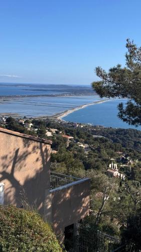 Le Nid d'Or - Seul au monde face à la mer