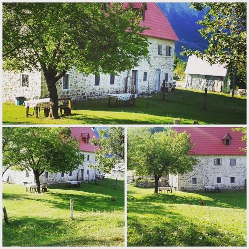 three pictures of a white building with a tree in the yard at Guesthouse Dritan Tethorja in Theth