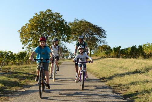 a group of people riding bikes down a road at Landhaus Luka in Mörbisch am See