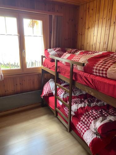 Chalet Carina Riederalp