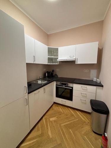 3 BDR - Apartment Treasure, in Vienna's Center