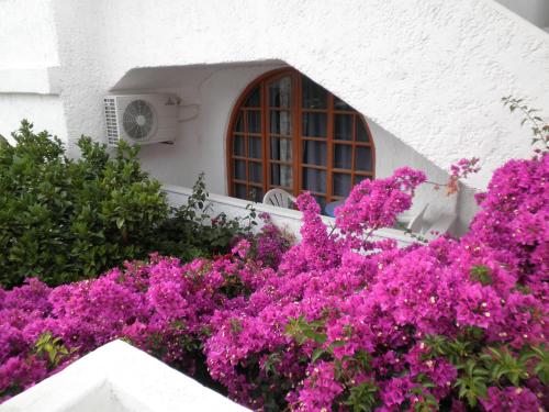 Jardin de l'établissement Rubini Rooms