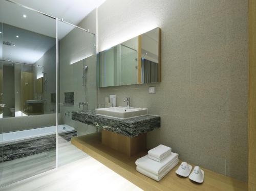 South Urban Hotel tesisinde bir banyo