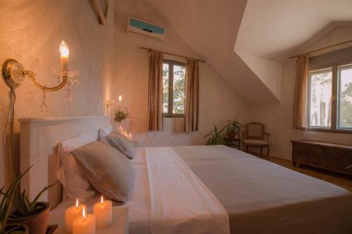 Stunning Bol Villa 4 Bedrooms Villa Zlatni Rat Stunning Location