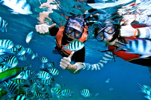 two people swimming in the water with fish at Pari Solata Seaview Homestay Syariah in Kepulauan Seribu