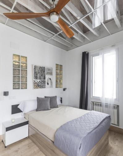 Renovated luxury apartment in the Barrio de Salamanca