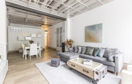 Renovated luxury apartment in the Barrio de Salamanca