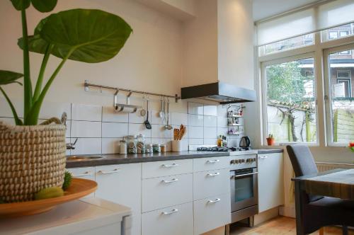 a kitchen with white cabinets and a potted plant at Apartment Havenstraat in Delft