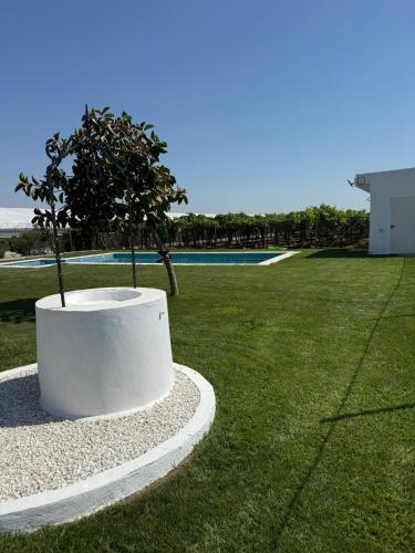 Villa Viñedos