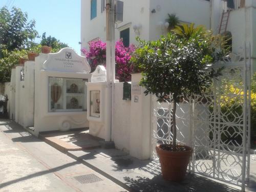 Gallery image of Villa Apollo B&B in Capri