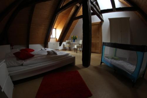 1 dormitorio con 1 cama, mesa y sillas en Alte Apotheke en Radebeul
