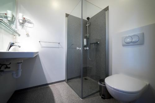 a bathroom with a shower and a toilet and a sink at Dæli Guesthouse in Víðidalstunga