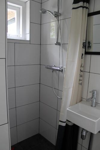 a bathroom with a shower and a sink at Zeeland aan Zee in Burgh Haamstede