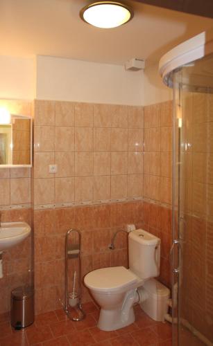 a bathroom with a toilet and a sink at Penzion Česká Koruna in Čáslav