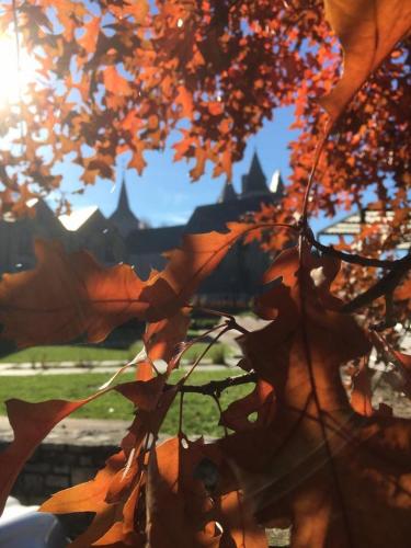 a group of autumn leaves with a castle in the background at B&B Barvaux, Durbuy in Durbuy