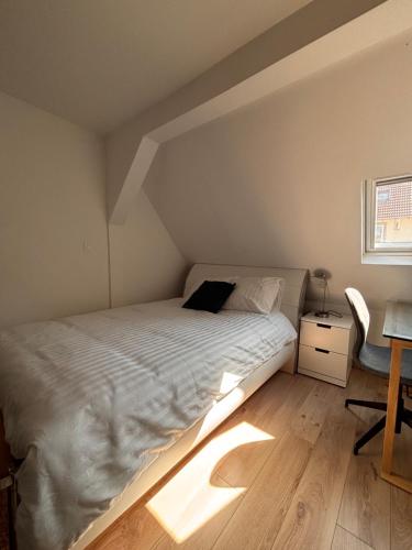 Cosy Apartment near Strasbourg