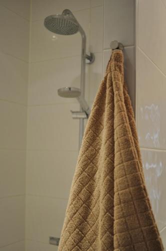 une douche avec une serviette brune accrochée au mur dans l'établissement Strasbourg Centre Epine, à Strasbourg