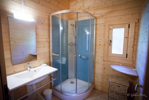 une salle de bain avec douche et lavabo dans l'établissement Résidence Marina Livia, à Serriera