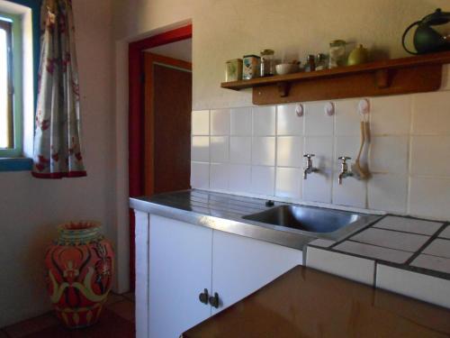 a kitchen with a sink and a counter top at Red Rooster in Barrydale