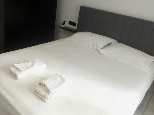 Olgas Apartment