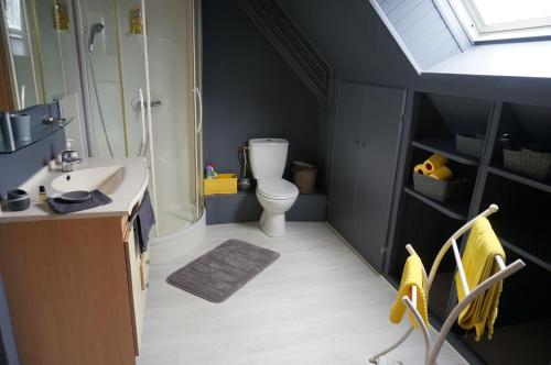 a bathroom with a toilet and a sink and a shower at Le Petit Chaton in Parigné-lʼÉvêque