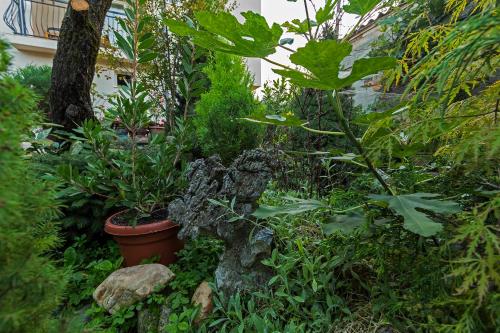 a garden with plants in pots and a tree at Bitrak Guest House in Ohrid