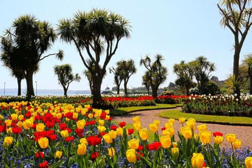 Taman di luar Crowndale Torquay - Exclusively for Adults