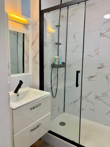 Elegant,appartement chaleureux lumineux et tout confort