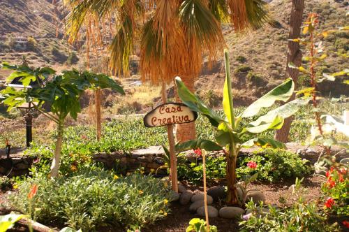 a sign in a garden with a palm tree at Casa Creativa in Hermigua