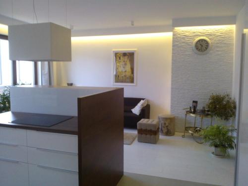 Køkken eller tekøkken på Luxury Apartment - Hoza 55