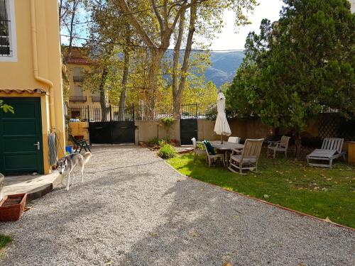 un chien debout dans l'allée d'une maison dans l'établissement Maison Marijke, à Céret