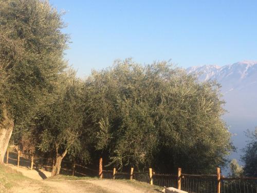 a fence and trees with mountains in the background at Cascina Varini in Gargnano