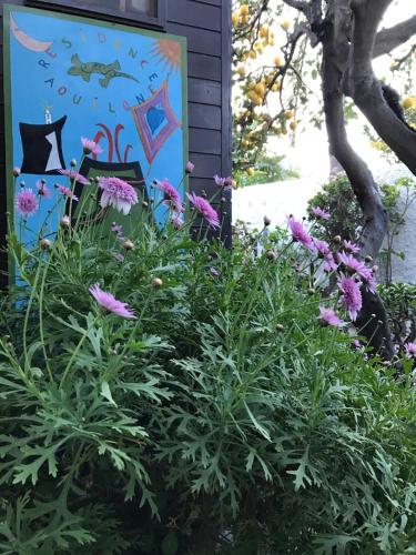 a garden with purple flowers in front of a house at Aquilone Residence in Stromboli