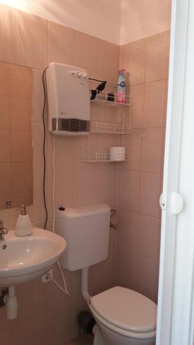 a small bathroom with a toilet and a sink at Nádor Apartmanok in Kaposvár