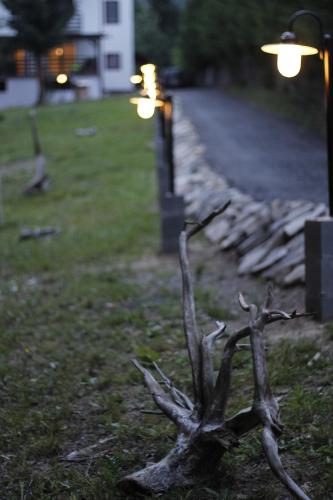 a dead tree branch in the grass next to a street at Casa Laur cu plajă privată in Colibiţa