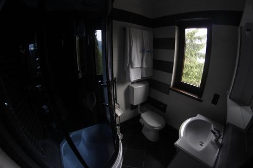 a bathroom with a shower and a toilet and a window at Casa Laur cu plajă privată in Colibiţa