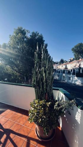 El nido del amá