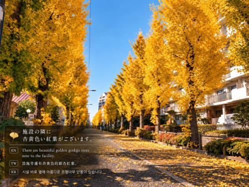 Rosenheim Tokyo Shinjuku