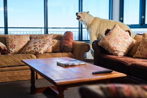 a dog standing in a living room looking out the window at Mt Buller Chalet Hotel & Suites in Mount Buller