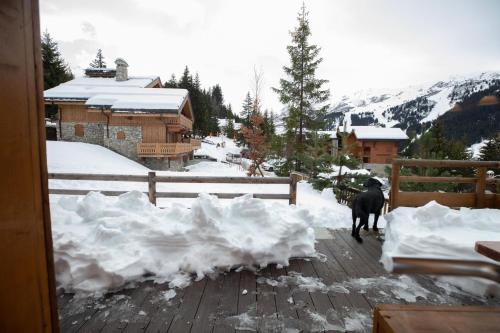 Chalet Echavidre - CH.ECHAVIDRE - charmant et proche des pistes MAE-6224