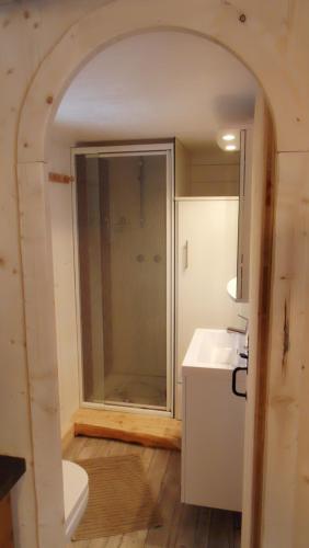 a bathroom with a shower and a toilet and a sink at La roulotte du bucheron in Lapoutroie