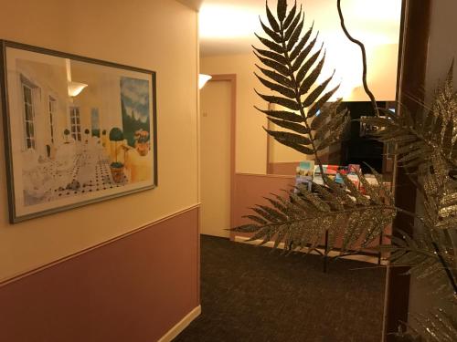 Hotel Le Festival photo 33