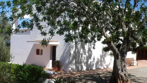 a white building with a tree in front of it at Can Poeta in Sant Carles de Peralta