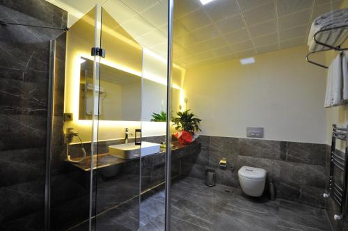 a bathroom with a shower and a sink and a toilet at Double Comfort Hotel in Ankara