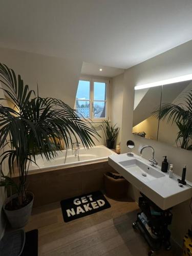 Designer duplex in heart of Bern with a view