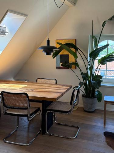 Designer duplex in heart of Bern with a view