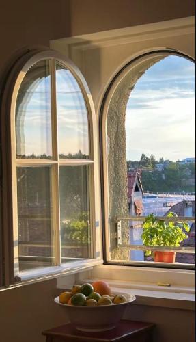 Designer duplex in heart of Bern with a view