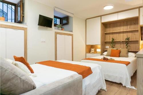 Boutique apartment next to the Cathedral and the Giralda