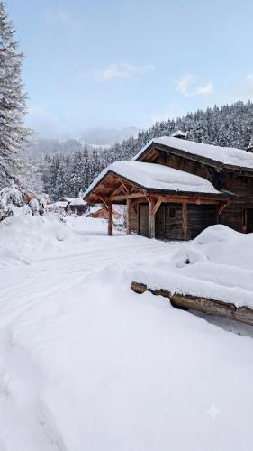 Hauts forts Prodains Avoriaz - Mountain Voyages